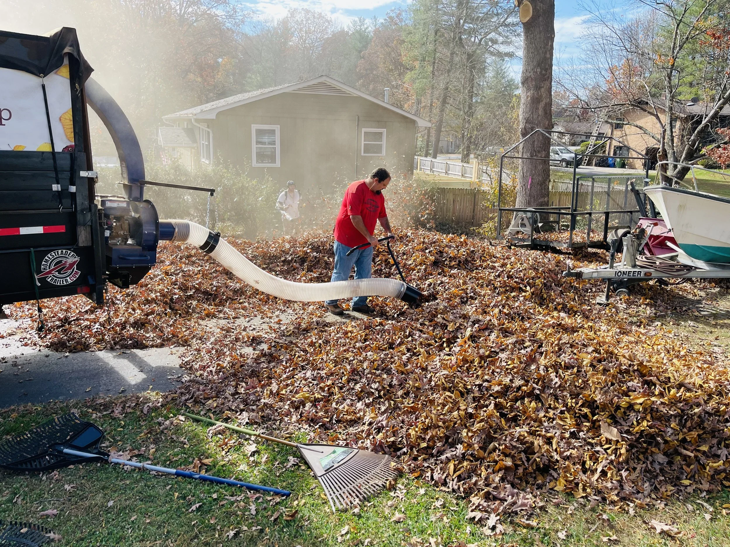 Landscaping services in Newport