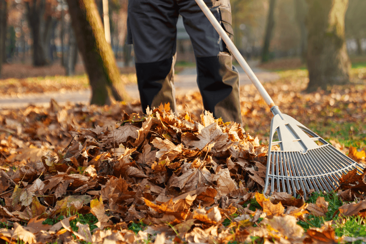 Landscaping services in Newport
